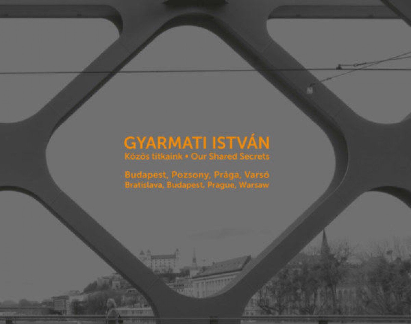 Gyarmati István - Közös titkaink - Our Shared Secrets [antikvár]