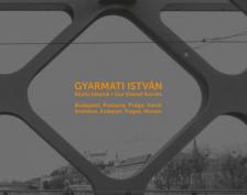 Gyarmati István - Közös titkaink - Our Shared Secrets [antikvár]