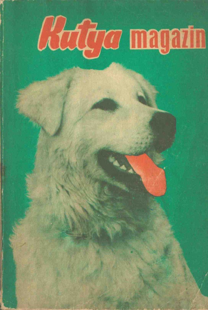 BIRÓ ANDRÁS - Kutya magazin 1970 [antikvár]