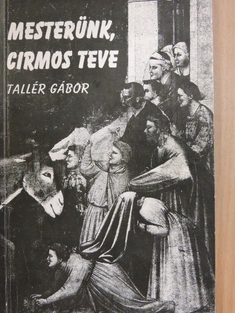 Ipoly Zsófia - Mesterünk, Cirmos Teve [antikvár]