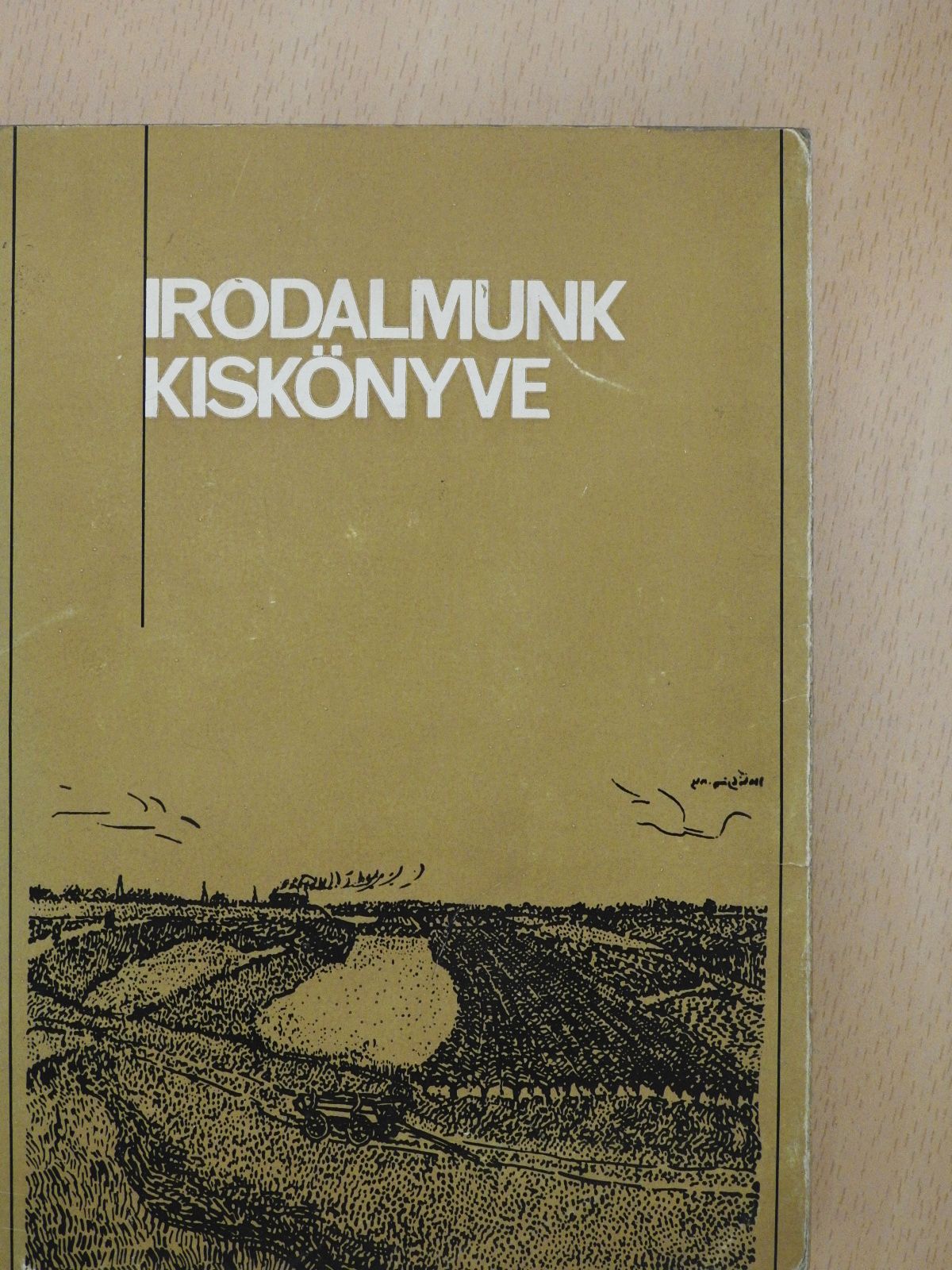 Ács Károly - Irodalmunk kiskönyve (dedikált példány) [antikvár]
