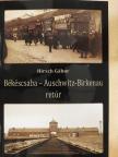 Hirsch Gábor - Békéscsaba - Auschwitz-Birkenau retúr - CD-vel [antikvár]