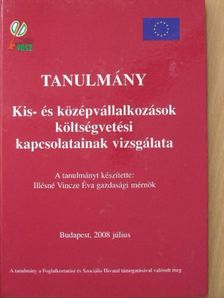 Kis- és középvállalkozások költségvetési kapcsolatainak vizsgálata [antikvár]