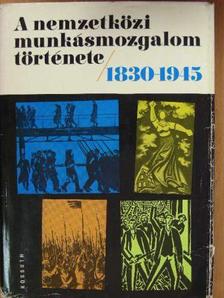 Dr. Babirák Ilona - A nemzetközi munkásmozgalom története 1830-1945 [antikvár]