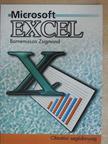 Bornemissza Zsigmond - Microsoft Excel [antikvár]