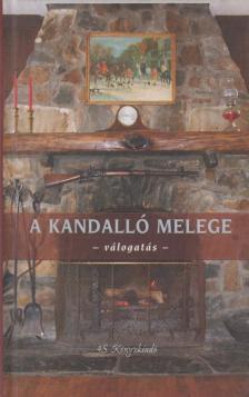 A kandalló melege [antikvár]
