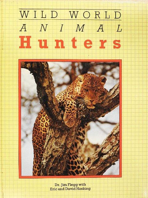 Dr. Jim Flegg - Animal Hunters [antikvár]