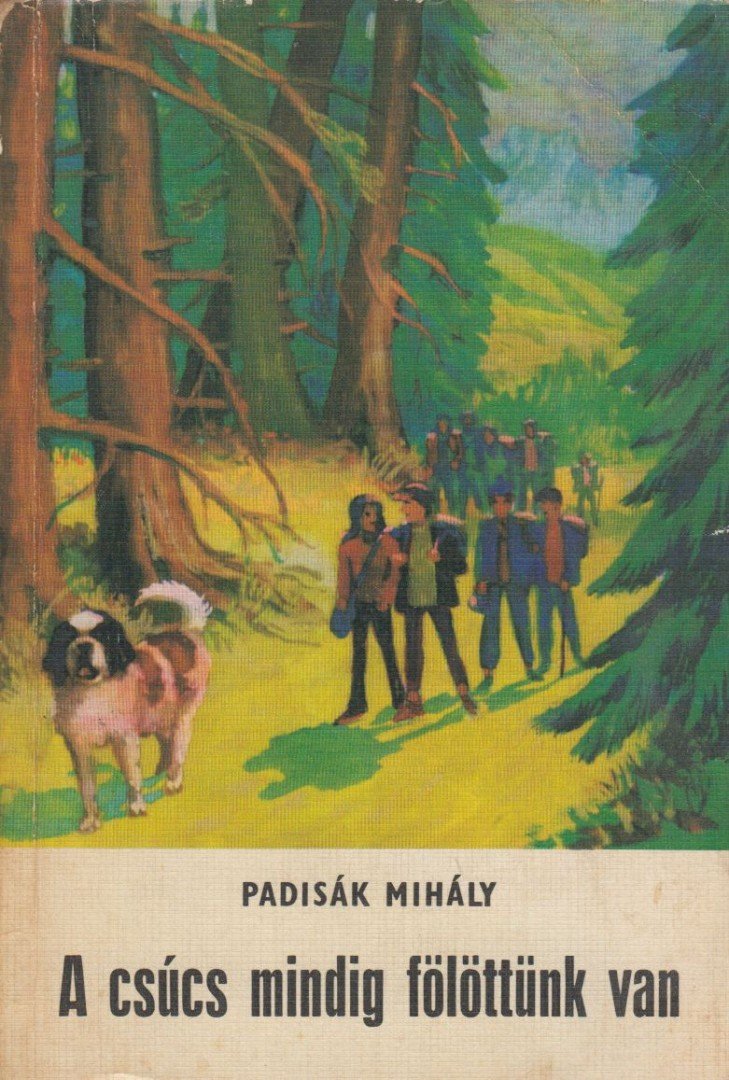 Padisák Mihály - A csúcs mindig fölöttünk van [antikvár]