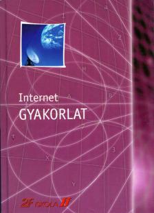 Nadia Andreini - Internet - Gyakorlat [antikvár]