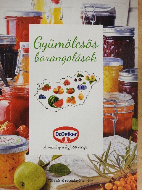 Farkas Szilvia - Dr. Oetker - Gyümölcsös barangolások [antikvár]