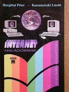 Hargittai Péter - Internet [antikvár]