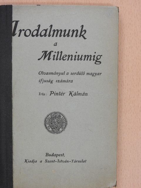 Pintér Kálmán - Irodalmunk a milleniumig [antikvár]