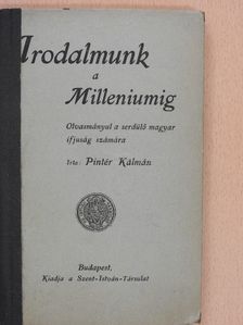 Pintér Kálmán - Irodalmunk a milleniumig [antikvár]