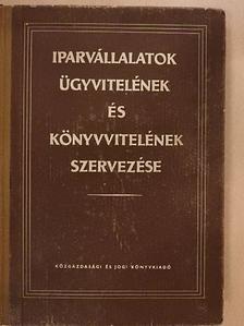 Balázsy György - Iparvállalatok ügyvitelének és könyvvitelének szervezése [antikvár]