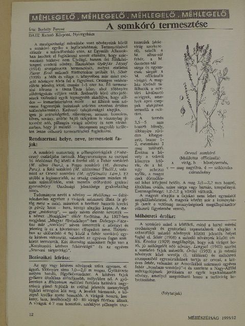 Borbély Ferenc - Méhészújság 1993. december [antikvár]