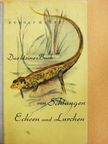 Rudolf Haupt - Das Kleine Buch von Schlangen, Echsen und Lurchen [antikvár]