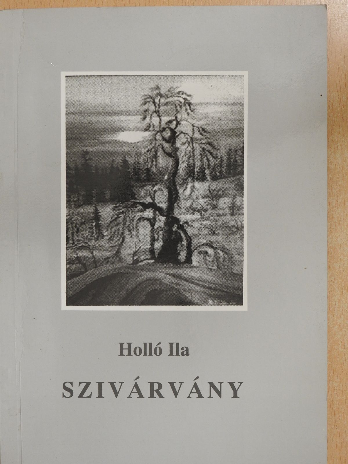 Holló Ila - Szivárvány (dedikált példány) [antikvár]
