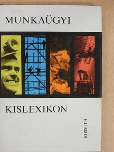 Bálint Ernő - Munkaügyi kislexikon [antikvár]