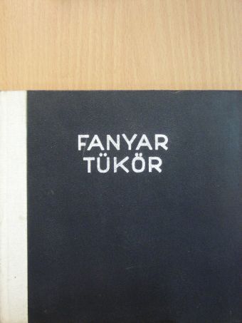 Nyerges András - Fanyar tükör [antikvár]