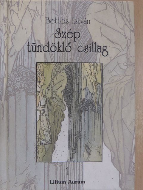 Bettes István - Szép tündöklő csillag 1. [antikvár]
