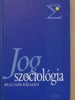 Kulcsár Kálmán - Jogszociológia [antikvár]