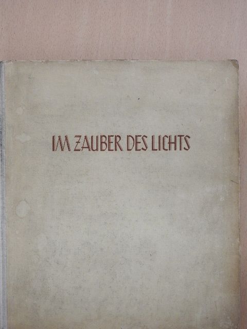 H. Windisch - Im Zauber des Lichts [antikvár]
