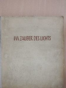 H. Windisch - Im Zauber des Lichts [antikvár]