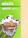 Dr. Grin Igor - Békés megyei útikönyv [antikvár]