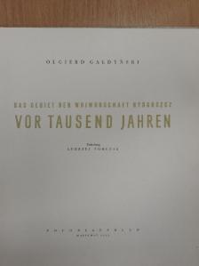 Olgierd Galdynski - Das Gebiet der Woiwodschaft Bydgoszcz vor Tausend Jahren [antikvár]