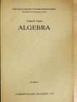 Schmidt Tamás - Algebra [antikvár]