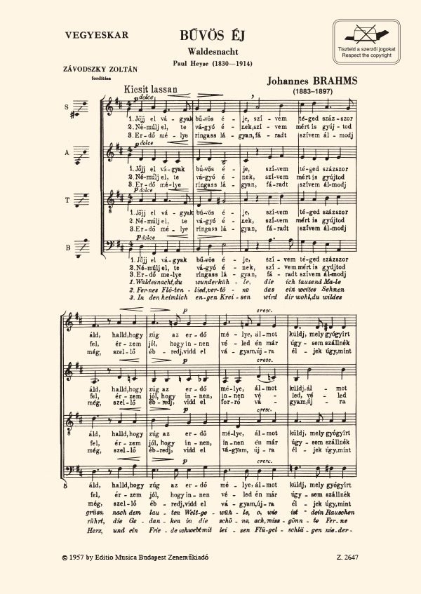BRAHMS... - BŰVÖS ÉJ WALDESNACHT VEGYESKAR