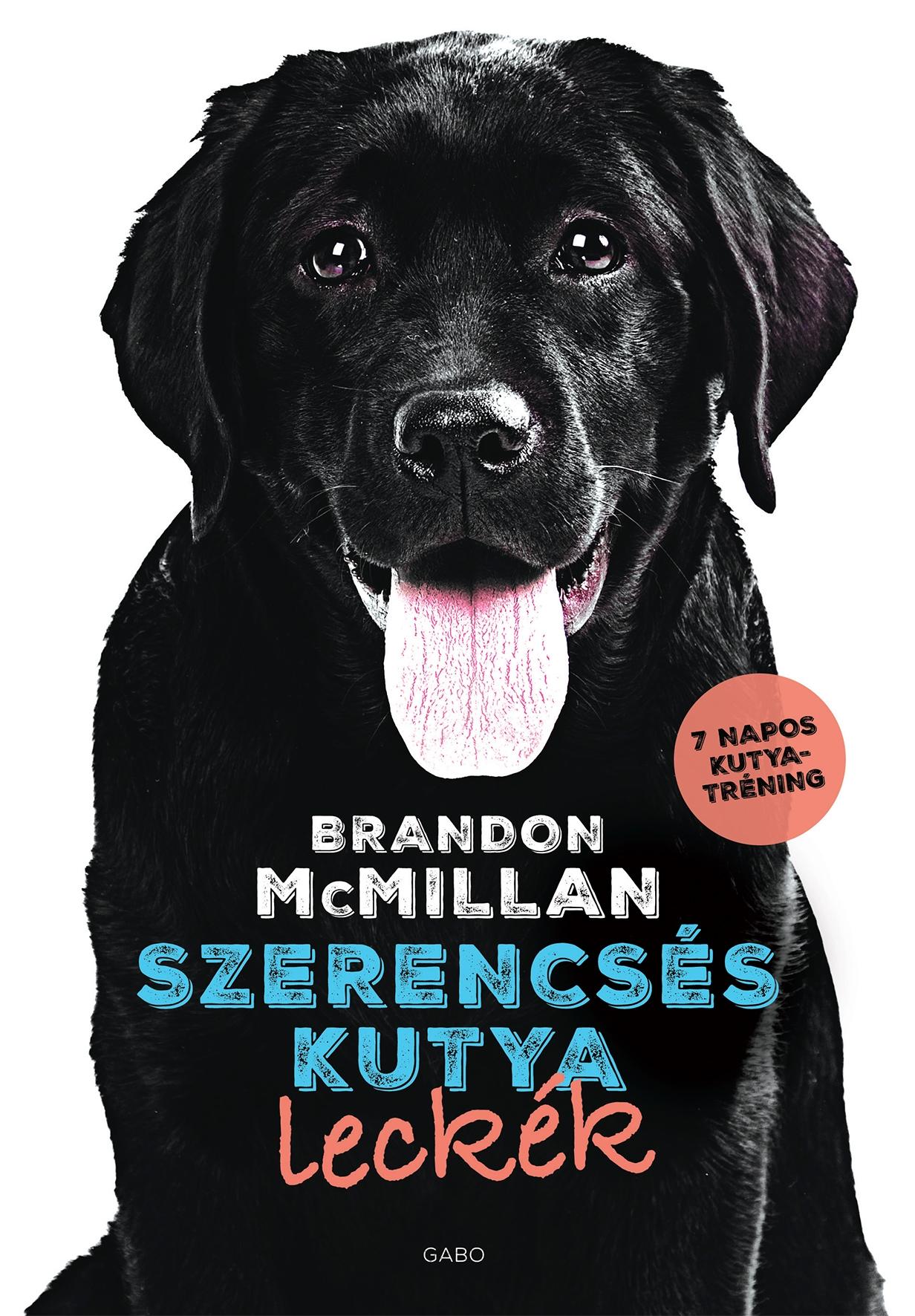 Brandon McMillan - Szerencsés kutya leckék