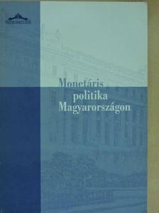 Bozó Ilona - Monetáris politika Magyarországon [antikvár]