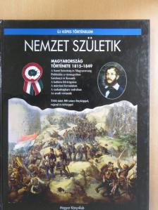 Hermann Róbert - Nemzet születik [antikvár]
