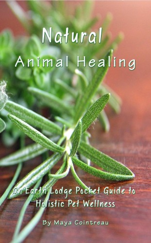 Cointreau Maya - Natural Animal Healing - An Earth Lodge Pocket Guide to Holistic Pet Wellness [eKönyv: epub, mobi]