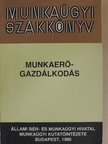 Bayer Istvánné - Munkaerőgazdálkodás [antikvár]