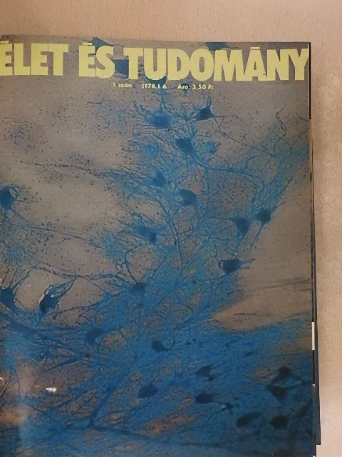 Dr. Ladó János - Élet és tudomány 1978. (fél évfolyam) [antikvár]