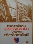 Dudás Lajos - Mozaikok Csongrád város történetéből 1982. [antikvár]