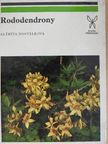 Alzbeta Dostálková - Rododendrony [antikvár]