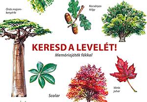 Inca Starzinsky - Keresd a levelét! - Memóriajáték fákkal