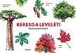 Inca Starzinsky - Keresd a levelét! - Memóriajáték fákkal