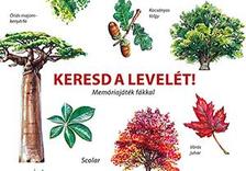 Inca Starzinsky - Keresd a levelét! - Memóriajáték fákkal
