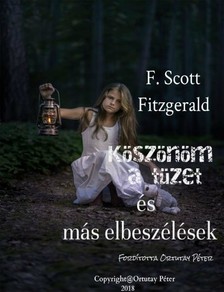 F. Scott Fitzgerald - Köszönöm a tüzet és más elbeszélések [eKönyv: epub, mobi]