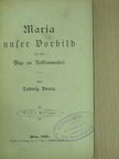 Ludwig Donin - Maria unser Vorbild auf dem Wege zur Vollkommenheit (gótbetűs) [antikvár]