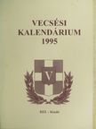 Bálint Ágnes - Vecsési kalendárium 1995 [antikvár]