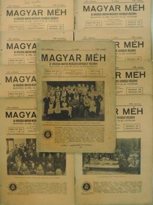 Csikós Tibor - Magyar Méh 1938. (nem teljes évfolyam) [antikvár]