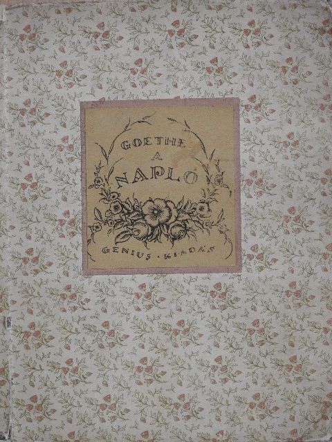 Johann Wolfgang Goethe - A napló [antikvár]