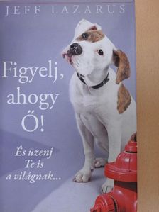 Jeff Lazarus - Figyelj, ahogy Ő! [antikvár]