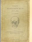 Dr. Alois Dalla Rosa - Anatomischer Atlas für studierende und Ärzte I.  [antikvár]