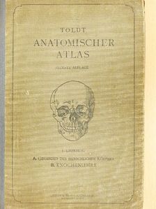 Dr. Alois Dalla Rosa - Anatomischer Atlas für studierende und Ärzte I.  [antikvár]
